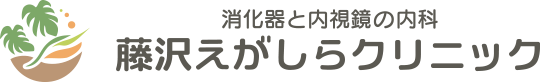藤沢の消化器内科・内視鏡検査(胃カメラ・大腸カメラ)|藤沢えがしらクリニック
