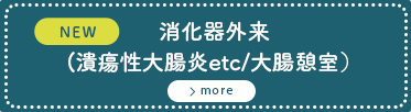 消化器病(潰瘍性大腸炎 etc / 大腸憩室外来)