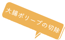 大腸ポリープの切除